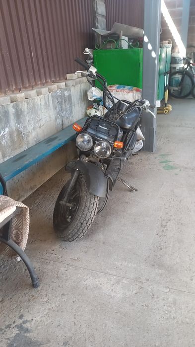 Скутер Хонда Зумер