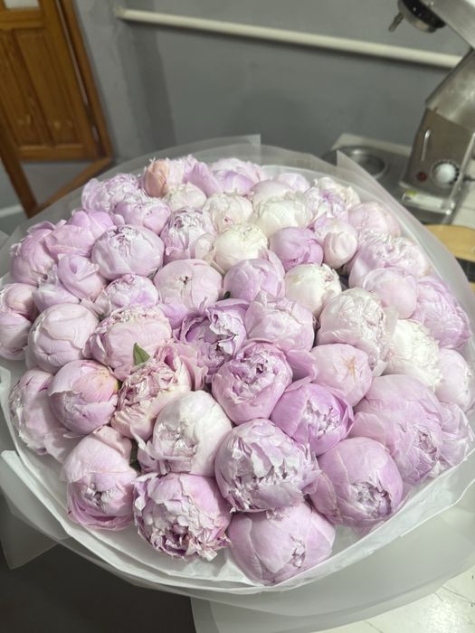 Букет пионы цветы