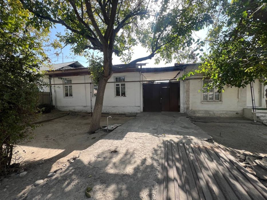 Yengi O'zbekiston bog'i