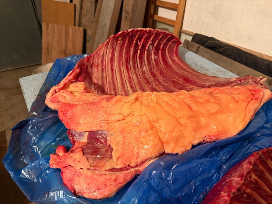 Мясо конины соғым ет