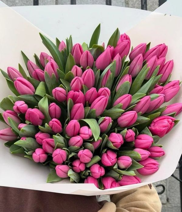 ТЮЛЬПАН ТУРКЕСТАН Оптом и в розницу