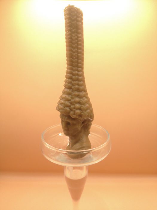 Свечи из пчелинного воска