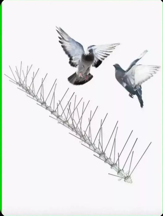 Противоприсадные Шипы от птиц