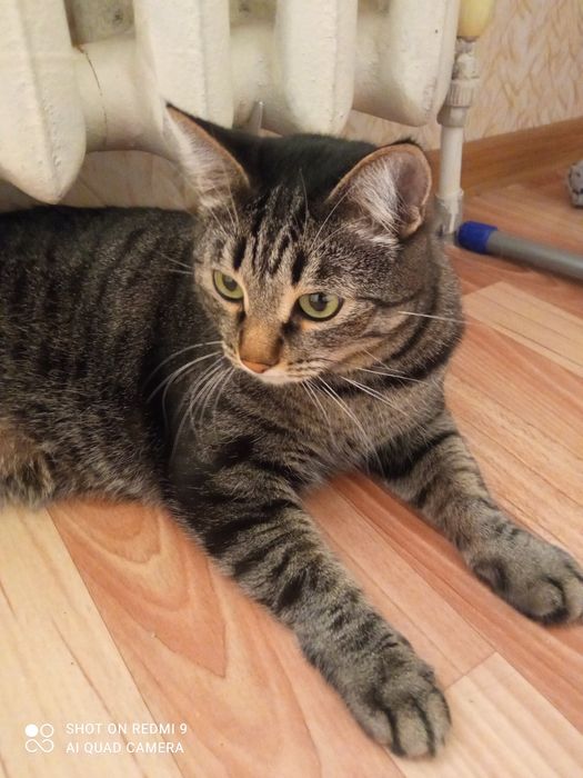 Самокат подростковый белый