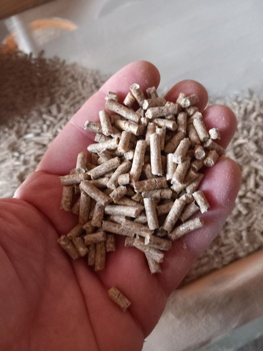 Furaj complet iepuri creștere