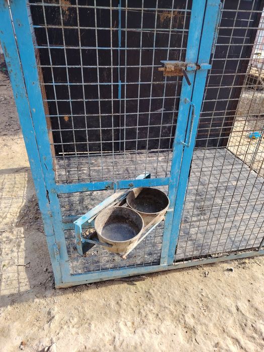 Вольер для сабак