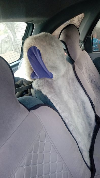 Продам Renault megane scenic