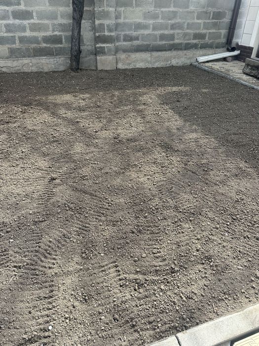 Посевной газон под ключ