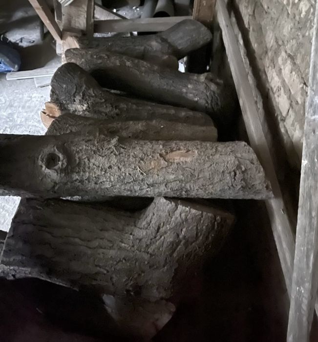 Otin qurut gilos darahtki