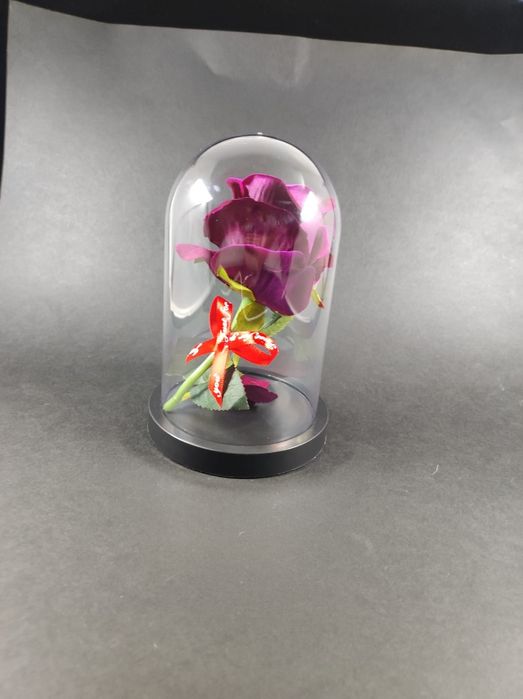 Trandafir de catifea in cupola de plastic