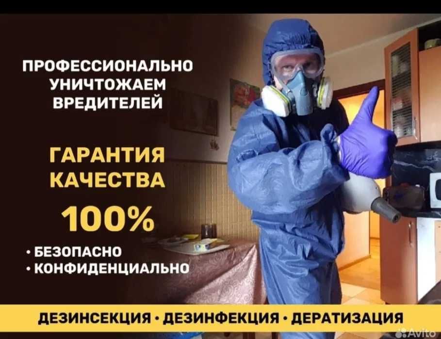 Уничтожение Клопов, тараканов/СЭС/Гарантия - Дезинфекция помещений ...