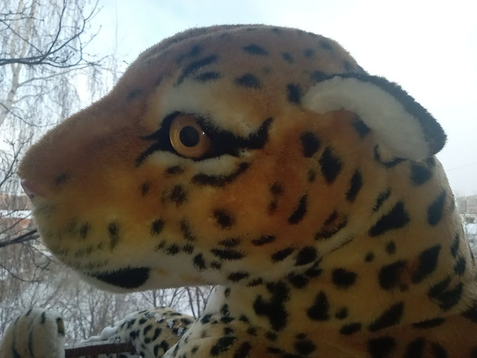 Гигантская игрушка за символическую сумму