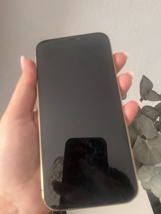 Iphone 12 Pro max 256