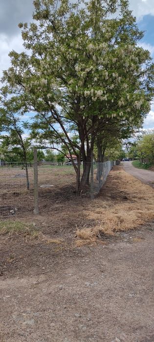 Teren intravilan Sabangia -Tulcea