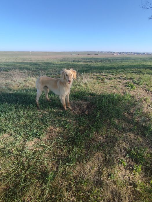 Продам тазы кабель