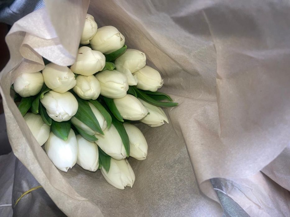 Тюльпаны в розницу от 550тг.