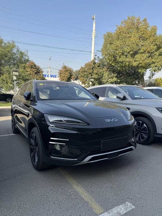 Byd sealine 7 550 km pod zakaz