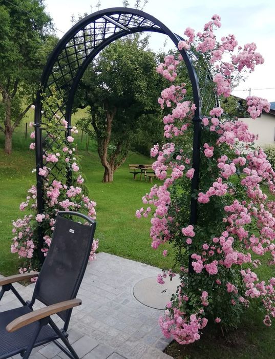 Plantez (insamantat) gazon, tund iarba