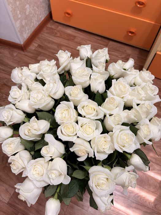 Белые свежие розы 51шт
