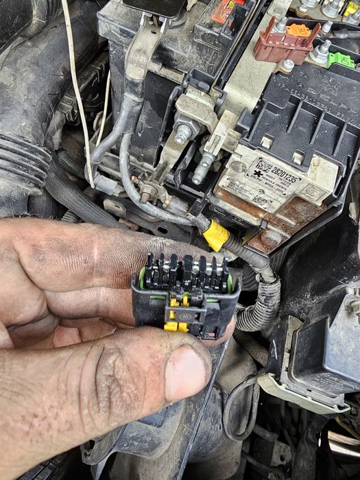 Electrica auto diagnoza auto electrician