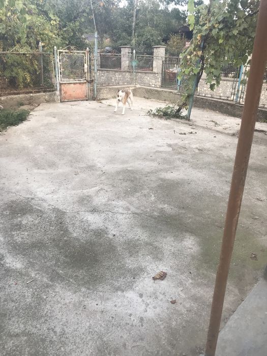 Inchiriez o camera la casa pt o persoana