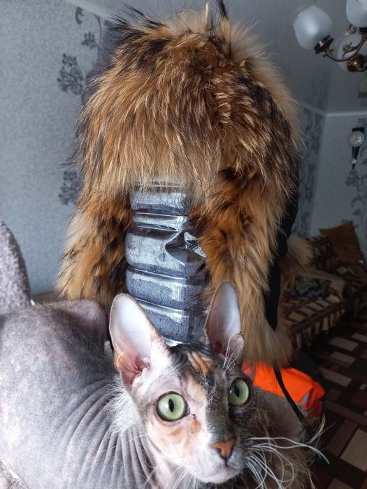 Шапка зимняя (Енот)