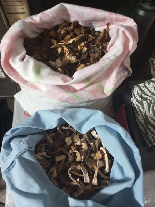 Грибы лесные сушеные.