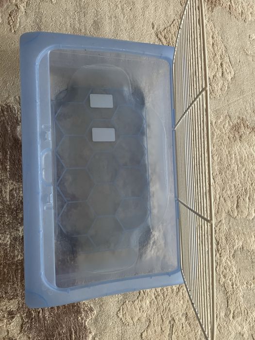 Acvariu broasca testoasa