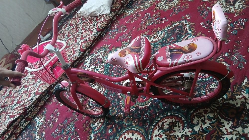 Velesipet sotladi holati zoʻr