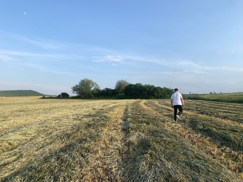 Vand teren cu cf intre Cojocna si Iuriu de Campie