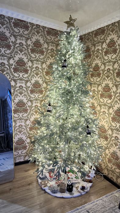 Голубая ель 120 000