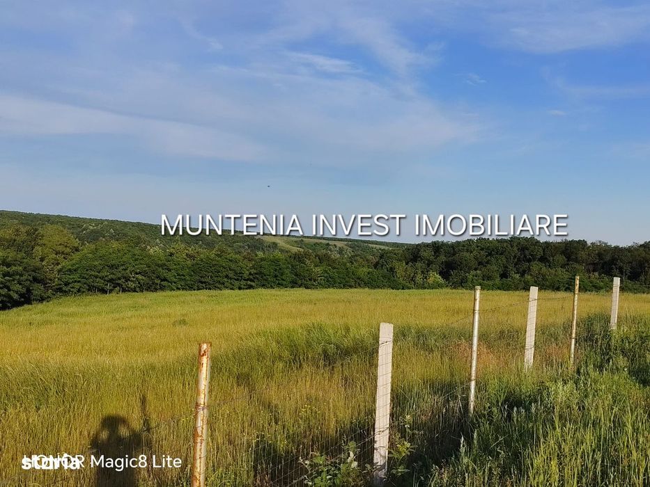 De vanzare 40.800 mp. teren, Calinesti