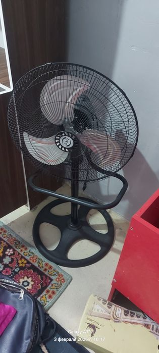 Новый заттар сатылады