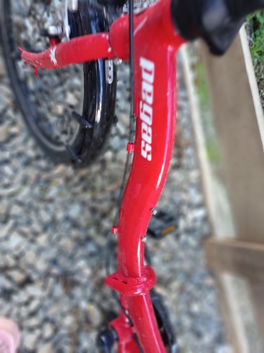 Bicicleta Pegas dama