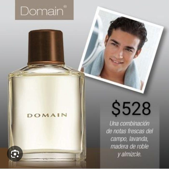 Mary kay Domain orginal