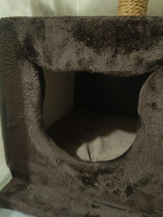 Домик для кошек, котов