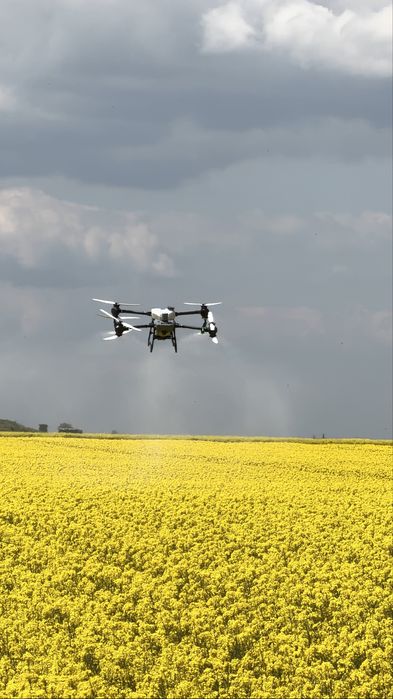 Prestez servicii cu drona agricola T50