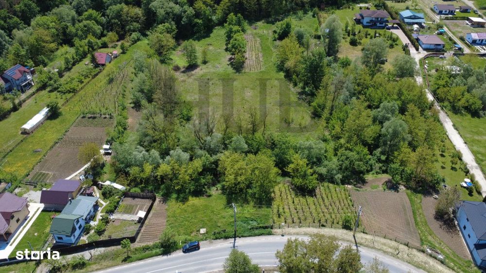 Teren intravilan | langa padure si parau | Luncani/Bacau