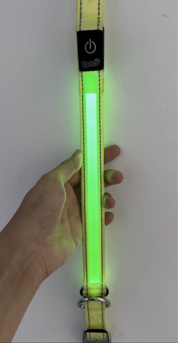 Zgarda cu LED pt caine