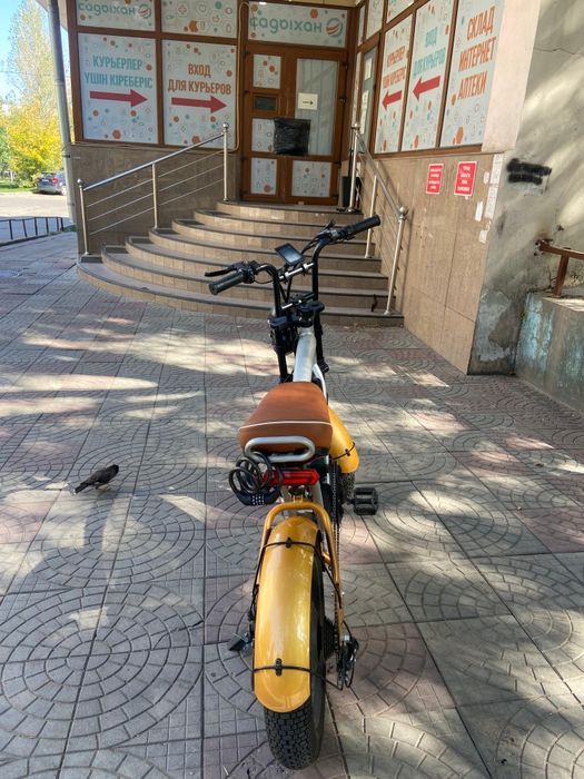 Электровелосипед леопард