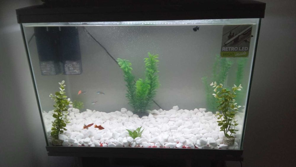 Vand acvariu 120 litri
