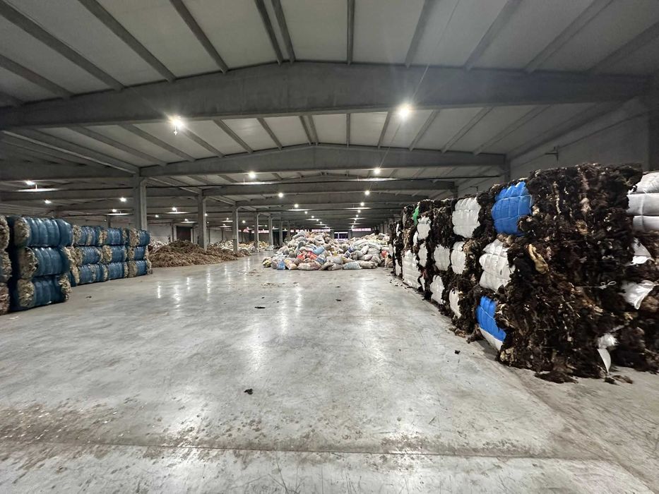 Lana alba spalata pentru perne / pilote / umplutura