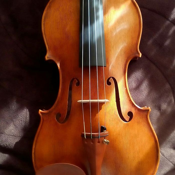 Професионални лютиерски услуги