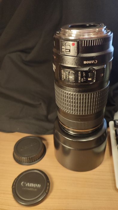 Canon EF 70-300mm f/4-5.6 IS USM