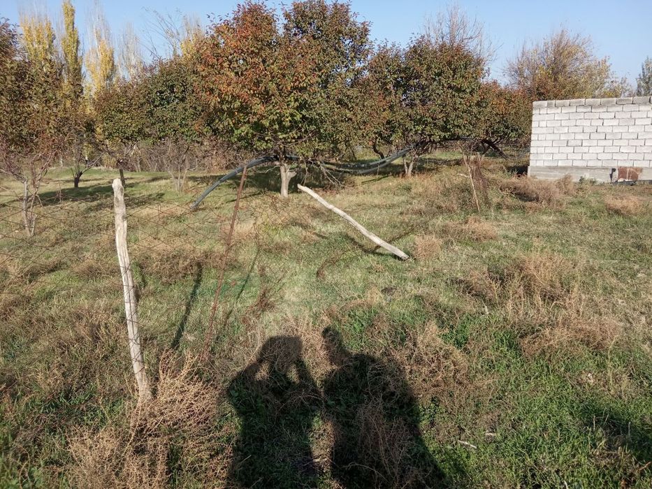 Yer uchastkasi sotiladi