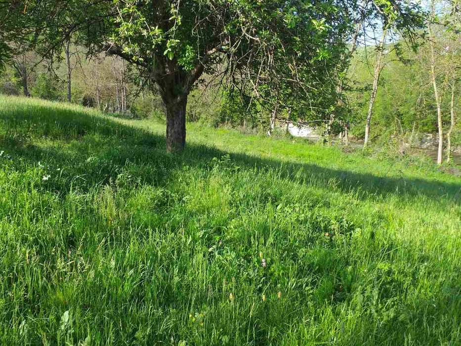 Продава се Парцел в Горна Оряховица - 1800 кв.м за 6 €/кв.м - Снимка #4