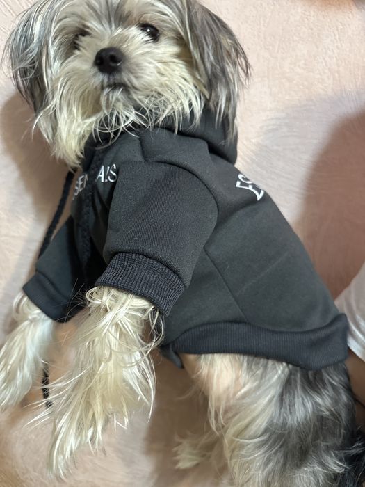 Одежда для сабак