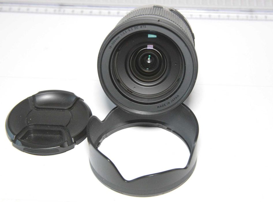 Canon 90 D + Sigma 18-300