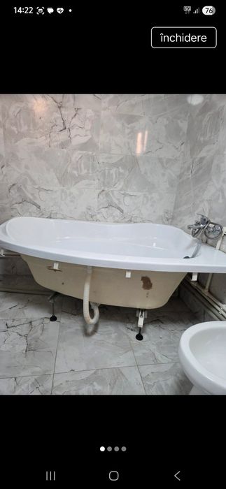 Cada pe colt in stare perfecta folisita 1 an