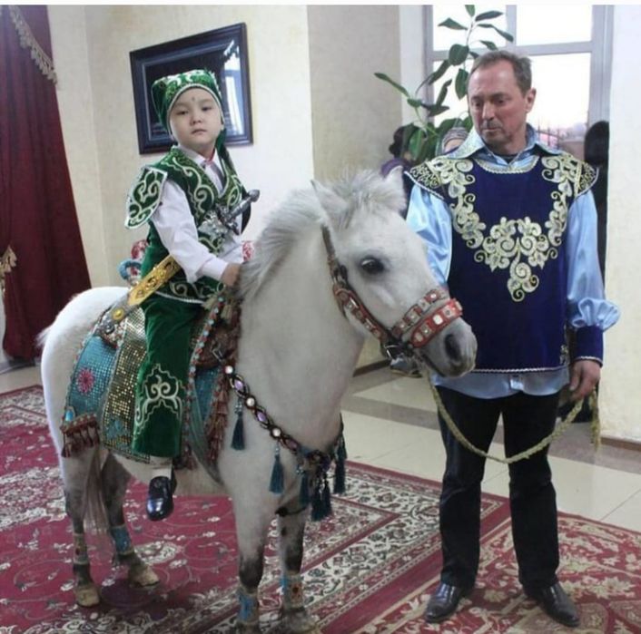 Сундет той белая лошадь.пони.трон
